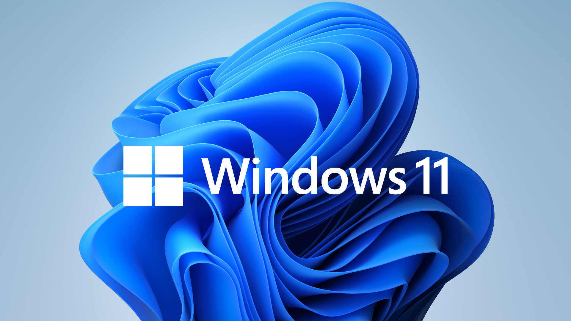Windows 11 Backdrop and logo.