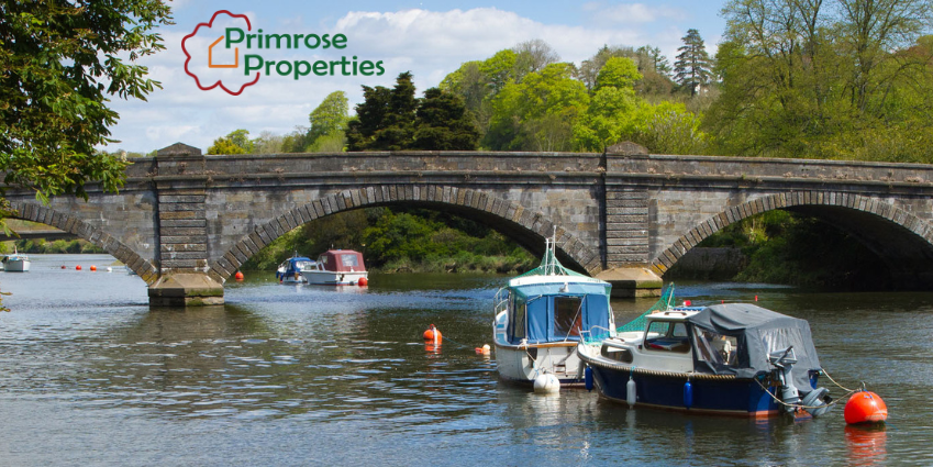 Katie Twaites profile picture